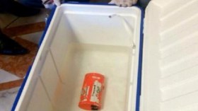 مصر ترسل وحدتي ذاكرة الصندوقين الأسودين إلى فرنسا