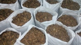 حجز 25 قنطارا من تبغ “الشيشة” المغشوش في ورشة بأم البواقي