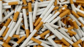 حجز أزيد من 140 ألف علبة سجائر بوهران