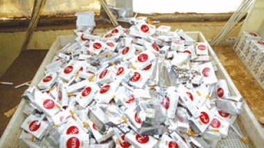 Le trésor public perd annuellement 1400 milliards : Le tabac frelaté menace la santé des algériens