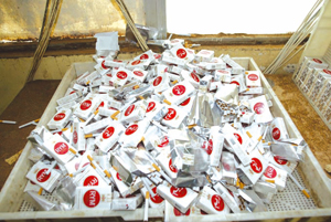 Le trésor public perd annuellement 1400 milliards : Le tabac frelaté menace la santé des algériens