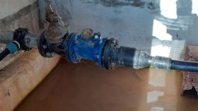 غرق كلب متشرد داخل خزان ماء بقرية “تغميط” بالبويرة