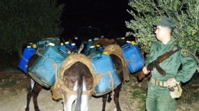 عصابات التهريب تجنّد عجائز ومطلقات لتضليل مصالح الجمارك