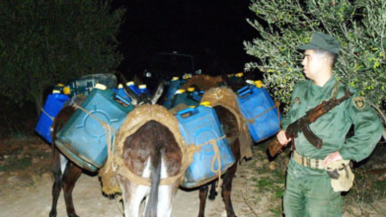 عصابات التهريب تجنّد عجائز ومطلقات لتضليل مصالح الجمارك