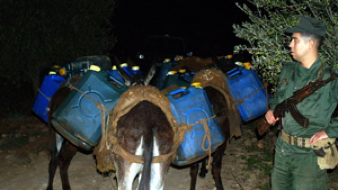 307 امرأة تقود شبكات تهريب و192 تركبن قوارب الموت