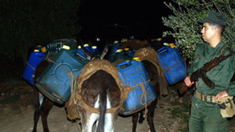 307 امرأة تقود شبكات تهريب و192 تركبن قوارب الموت