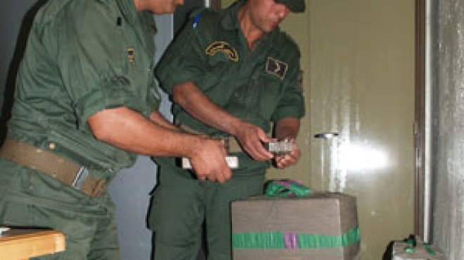 حجز قنطار و24 كلغ من الكيف في أكبر عملية بالجنوب الشرقي