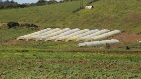 سلمونا الأراضي الفلاحية ونعدكم بتصدير الخضر والفواكه