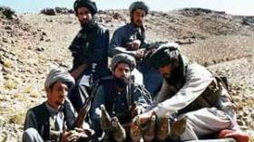 تقرير: طالبان انتشرت على حوالي 75٪ من مساحة أفغانستان