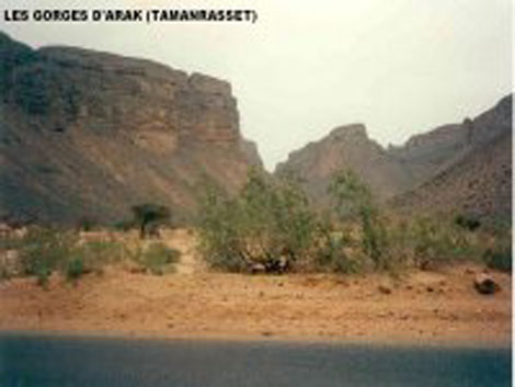 Intempéries : 262 personnes secourues par les unités de l’ANP dans la région d’Arak