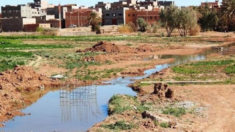 كارثة بيئة تتهدد سكان قرية تبربيرت بتمنراست