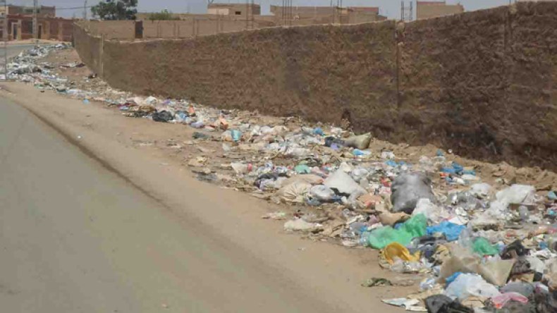 حماة البيئة بتمنراست يدقون ناقوس الخطر