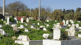 العاصمة لن تعيش أزمة مقابر طيلة خمسين سنة