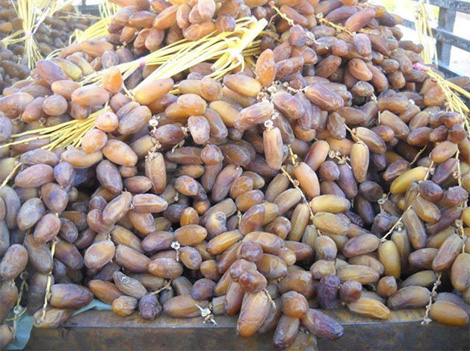 Tlemcen: tentative de contrebande de 7 tonnes de dattes vers le Maroc déjouée