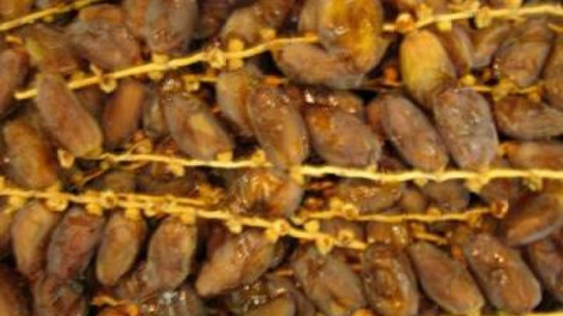 التمور بـ450 دج للكلغ في مدينة النخيل بالوادي
