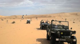 الطاعون يزحف من الحدود الليبية الجزائرية