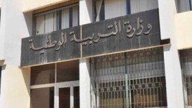 التربية.. قرارات الأفراد وقرارات الدولة!