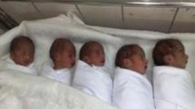 تيزي وزو: امرأة تضع 5  مواليد