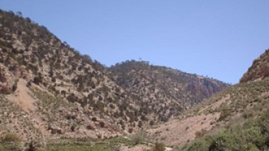 Une bombe artisanale tue 4 chasseurs qui étaient en quête de gibier dans les monts de Tébessa