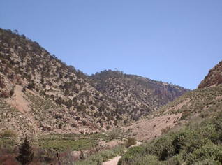 Une bombe artisanale tue 4 chasseurs qui étaient en quête de gibier dans les monts de Tébessa