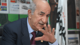 الهردة.. وزاوش القرمود!