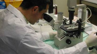 Installation du Haut comité algéro-américain de suivi du projet de partenariat sur la biotechnologie