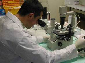 Installation du Haut comité algéro-américain de suivi du projet de partenariat sur la biotechnologie