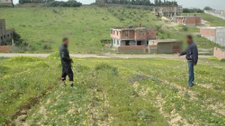 أطماع الحركى تتربص بممتلكات الجزائريين!