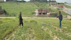 صدور القوانين الجديدة المتعلقة بالأملاك الخاصة للدولة نهاية الشهر