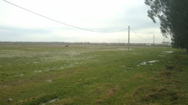 Nouri: “Inspection committees to launch an inventory of neglected agricultural land in all cities”