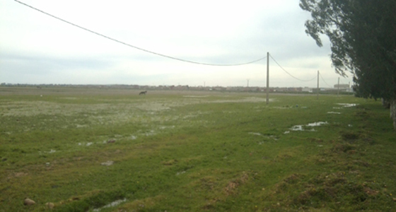 Nouri: “Inspection committees to launch an inventory of neglected agricultural land in all cities”