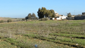 هكذا تم بيع مقبرة ومقرّات عمومية وأراضي “البايلك”!