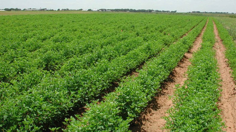 فلاحون يملون شروطهم على وزارة المالية لضخ أموالهم في البنوك