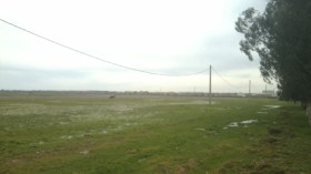 مضاربون يفرضون أسعارا “خيالية” للعقار بالجزائر