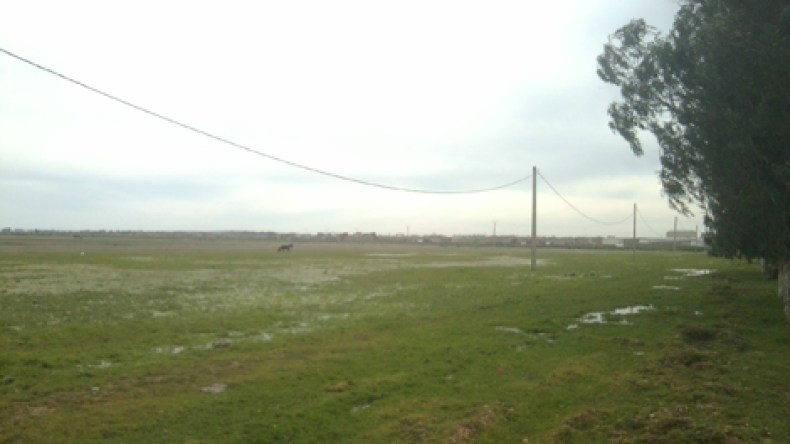 مضاربون يفرضون أسعارا “خيالية” للعقار بالجزائر