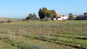 توزيع الأميار لأراضي “البايلك”.. ممنوع