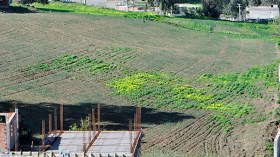 رئيس حزب يضيّع 5 ملايير في صفقة أرض مزوّرة!