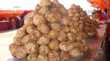 Algerian Bank sustains financial loss of over 4 billion centimes over dubious truffle exports to Kuwait