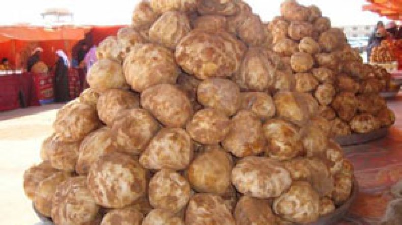 تاجر‮ ‬جزائري‮ ‬يحتال‮ ‬على‭ ‬16‮ ‬أميرا‮ ‬سعوديا‮ ‬بصفقات‮ “‬ترفاس‮”‬‭ ‬وهمية