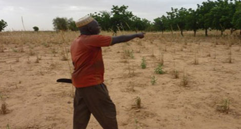 Niger : Sept morts dans des affrontements communautaires dans le sud-ouest du pays