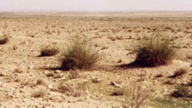 استرجاع قطعة أرض بمنطق “أنا القاضي والمتهم في آن واحد”