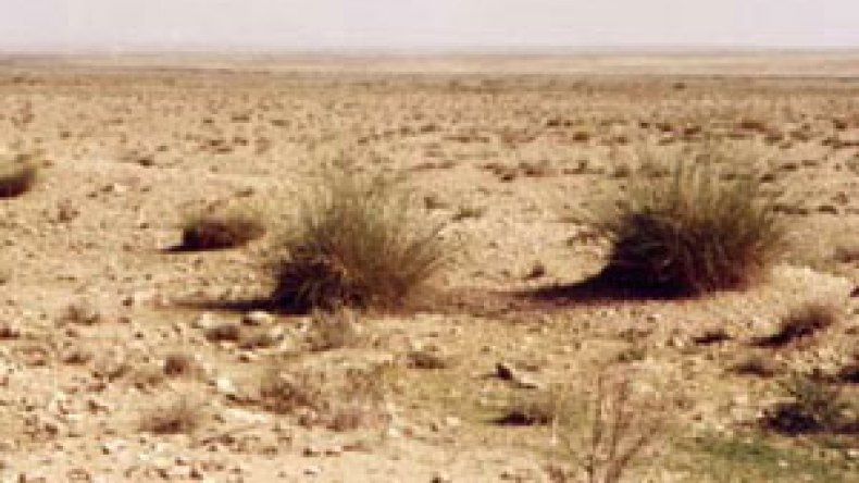 استرجاع قطعة أرض بمنطق “أنا القاضي والمتهم في آن واحد”