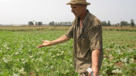 قناطير الأسمدة الفلاحية منعت عن الإرهابيين فوقعت بين أيدي المهربين