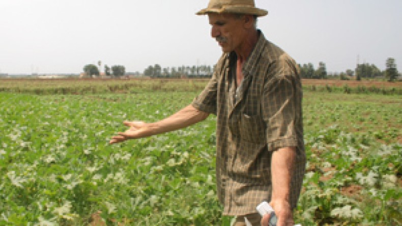 قناطير الأسمدة الفلاحية منعت عن الإرهابيين فوقعت بين أيدي المهربين