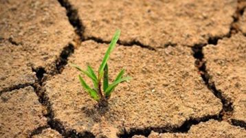 ربي يجيب الخير!