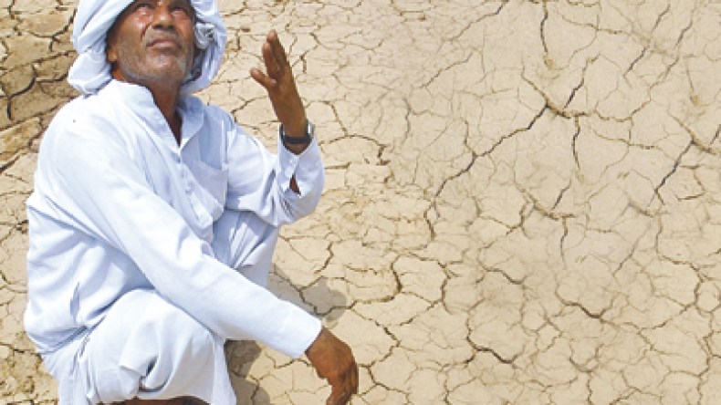 5400 مليار “ضاعت” في استصلاح فاشل للأراضي البور