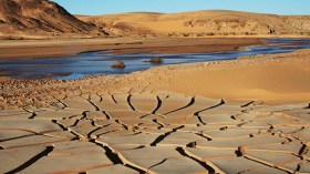 دعوات للفلاحين بـ”التقشف” تسقط في الماء!