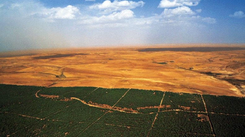 الجزائر تجدد التزامها بمكافحة الآثار السلبية لتغير المناخ