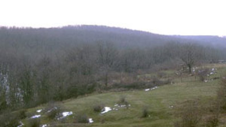 السجن وغرامات مالية ضد محولي العقار الفلاحي عن نشاطه