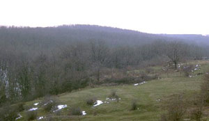 Algeria :  new government measures to regulate industrial estate market